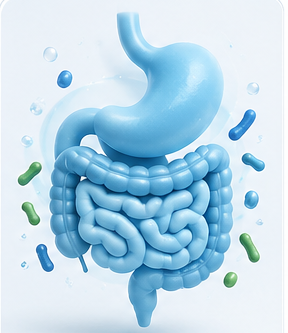 Gut health gummy